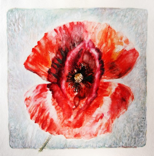 A poppy IV, watercolor and acrylic on paper, 60x60 cm.
